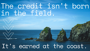 Your bicarbonate arrives at the coast. What happens next decides if It’s a credit or not.